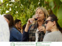 Festival Mar de Tethys 2026 - Bodega Vetas